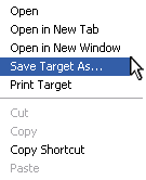 Save Target As...